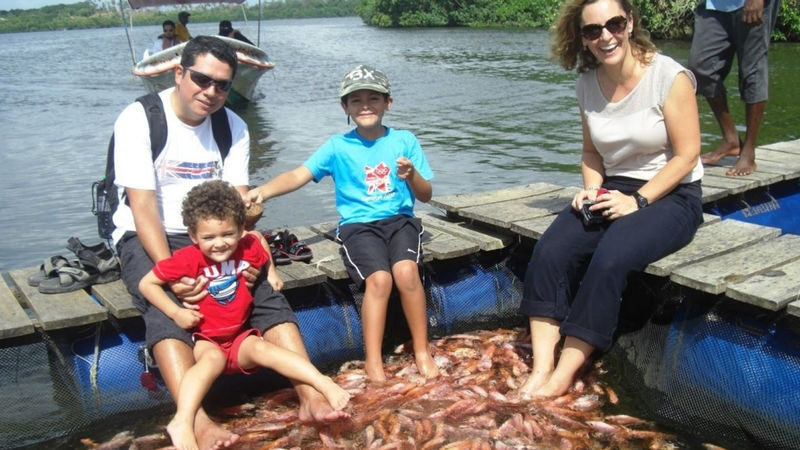 Mangrove River Safari Experience in Bentota - A quiet stretch of Bentota River