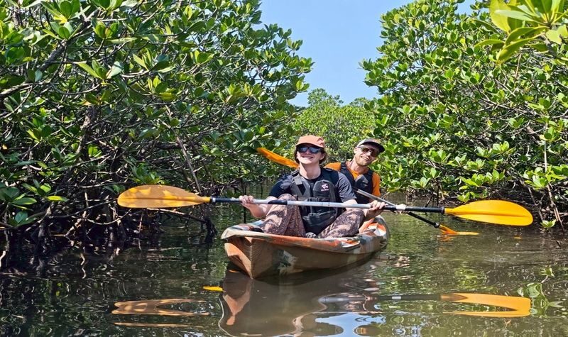 Mangrove SUP/Canoe & Canyoning Experience (Iriomote Island, Okinawa) - Mangroves first, then a mountain stream