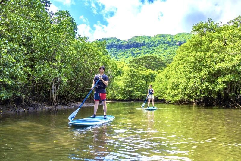 Mangrove SUP/Canoe & Canyoning Experience (Iriomote Island, Okinawa) - Paddling through Iriomote’s mangroves