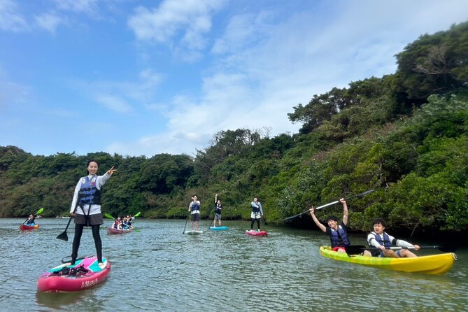 Mangrove SUP in Okinawa - Group Size and Cancellation Policy