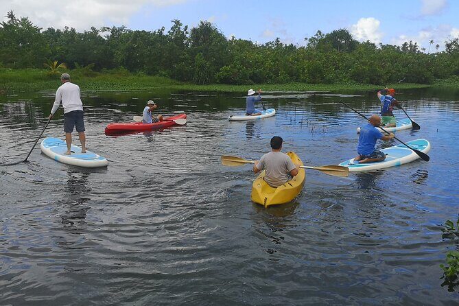 Mangrove to Lagoon Kayak and Paddleboard Adventure - Final Thoughts  