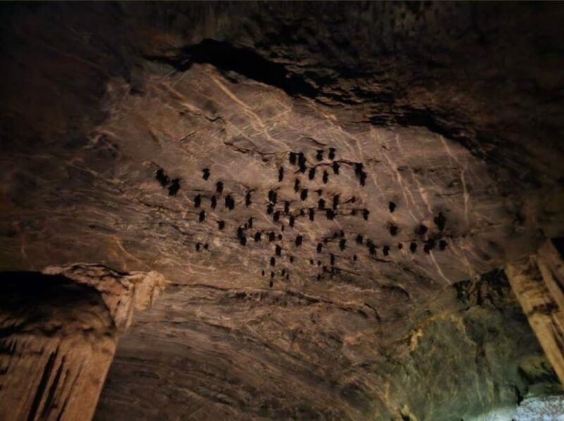 Mangrove Tour 3hour + Beach Swim + Free Lunch - Practical Considerations