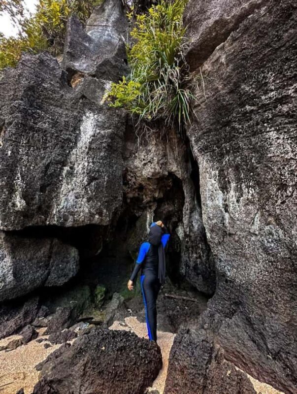 Mangrove Tour 3hour + Beach Swim + Free Lunch - Who Will Love This Tour?