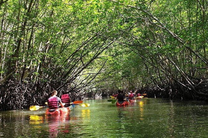 Mangrove Tour by Kayaking in Ko Lanta With Lunch - Good To Know