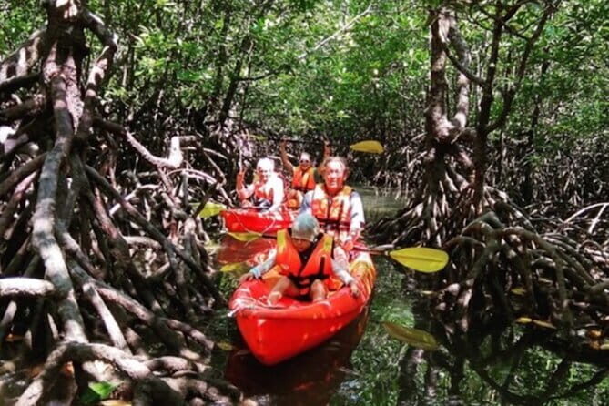 Mangrove Tour by Kayaking in Ko Lanta With Lunch - What We Love About the Tour