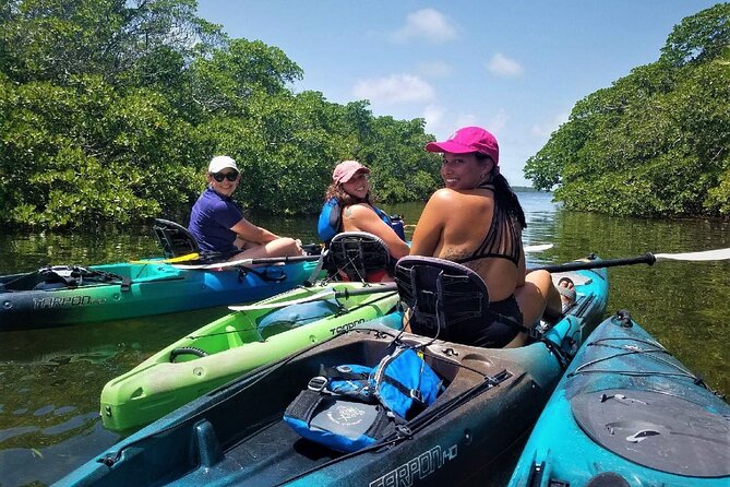 Mangrove Tunnel Kayak Adventure in Key Largo - Inclusions and Logistics