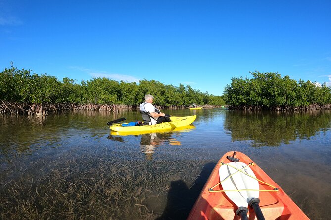 Mangrove Tunnel Kayak Adventure in Key Largo - Traveler Photos and Reviews