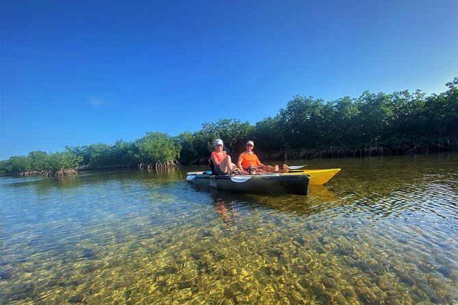 Mangrove Tunnel Kayak Adventure in Key Largo - Kayaking Trip Experience and Mangrove Tour