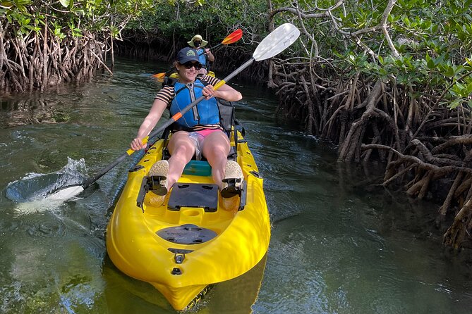 Mangrove Tunnel Kayak Adventure in Key Largo - Positive Feedback on Local Team