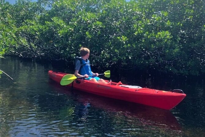 Mangrove Tunnel Kayak Adventure in Key Largo - Wonderful Time During the Trip