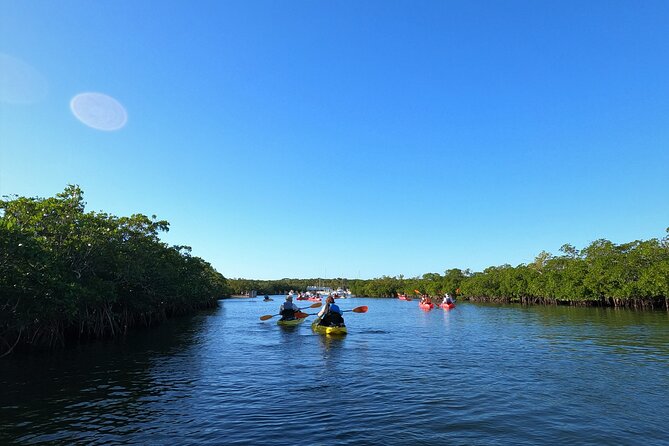 Mangrove Tunnel Kayak Adventure in Key Largo - Common Questions