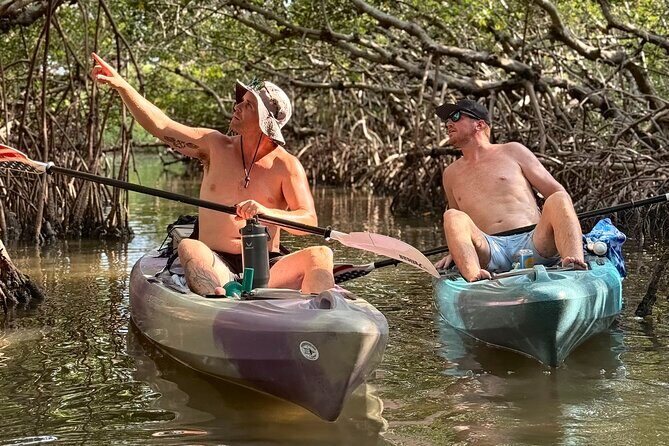 Mangrove Tunnel Kayak Tour To Shell Key - St. Pete, FL - Discover the Hidden Charm of the Mangrove Tunnel Kayak Tour to Shell Key in St. Pete, FL