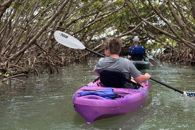 Mangrove Tunnel Kayak Tour To Shell Key - St. Pete, FL - Final Thoughts