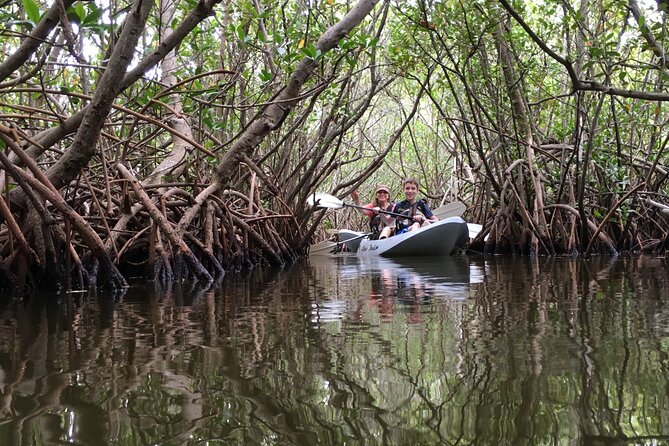 Mangrove Tunnel, Manatee and Dolphin Kayak Tour of Cocoa Beach - Pricing and Booking Information