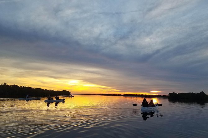 Mangrove Tunnel, Manatee and Dolphin Kayak Tour of Cocoa Beach - Overview of Kayaking Excursion