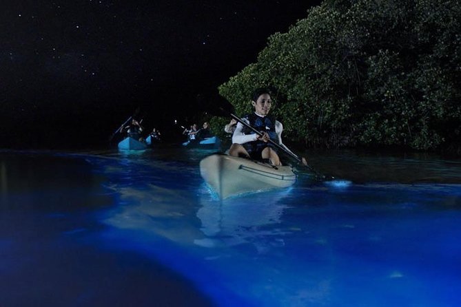 Mangrove Tunnel, Manatee and Dolphin Kayak Tour of Cocoa Beach - Traveler Reviews