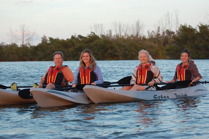 Mangrove Tunnels, Manatee, and Dolphin Sunset Kayak Tour With Fin Expeditions - The Sum Up