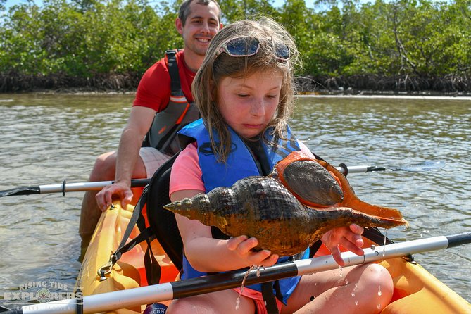 Mangrove Tunnels & Mudflats Kayak Tour - Local Biologist Guides - Tour Highlights