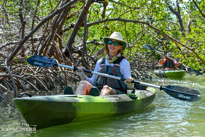 Mangrove Tunnels & Mudflats Kayak Tour - Local Biologist Guides - Expert Biologist Guides