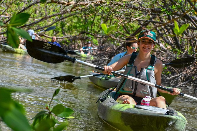 Mangrove Tunnels & Mudflats Kayak Tour - Local Biologist Guides - Exploring Rookery Bay Reserve