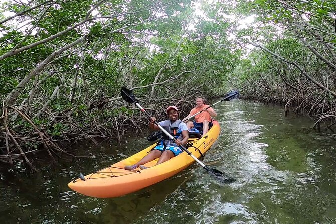 Mangroves and Manatees - Guided Kayak Eco Tour - Meeting Point and Preparation