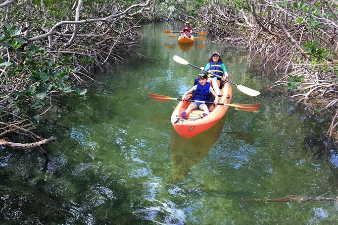 Mangroves and Manatees - Guided Kayak Eco Tour - Cancellation Policy