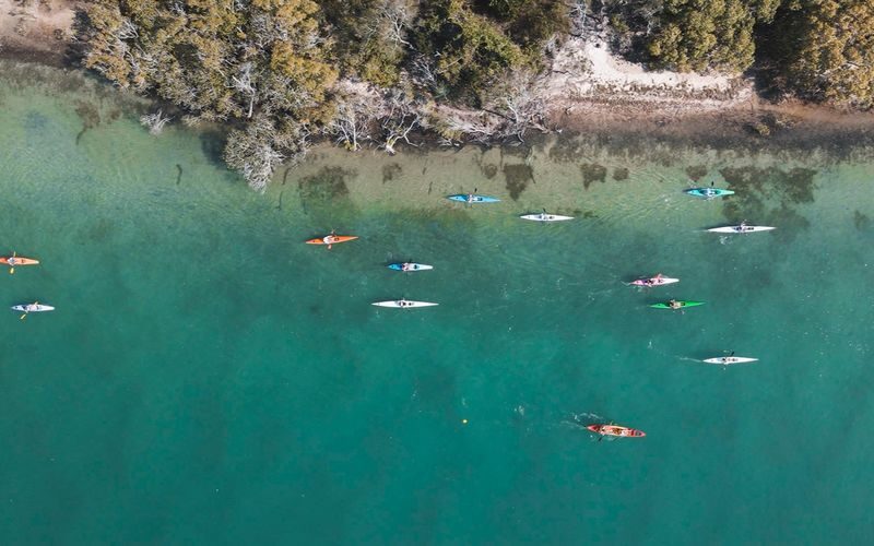 Mangroves and Mansions Guided Kayak Tour of Noosa River - How much effort, and what to bring