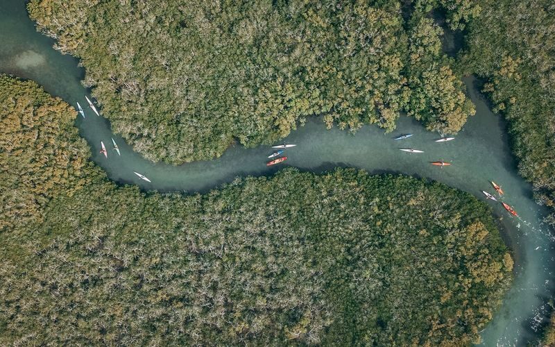 Mangroves and Mansions Guided Kayak Tour of Noosa River - Is the price worth it?