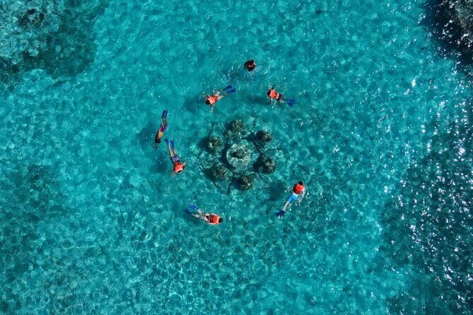 Mangroves and Punta Nizuc Snorkel Adventure by Speedboat - Final Thoughts