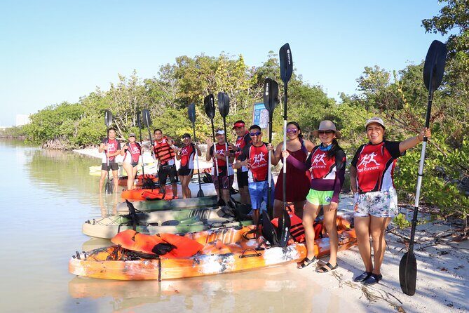 Mangroves Kayaking Tour from Cancun - An In-Depth Look at the Mangroves Kayaking Tour