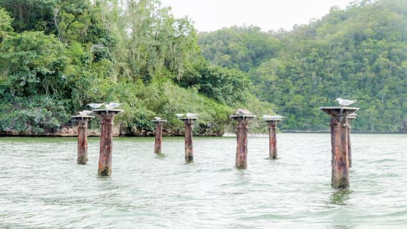 Mangroves, Mogotes and Mountains from Punta Cana - Final Thoughts: Who Will Love This Tour?