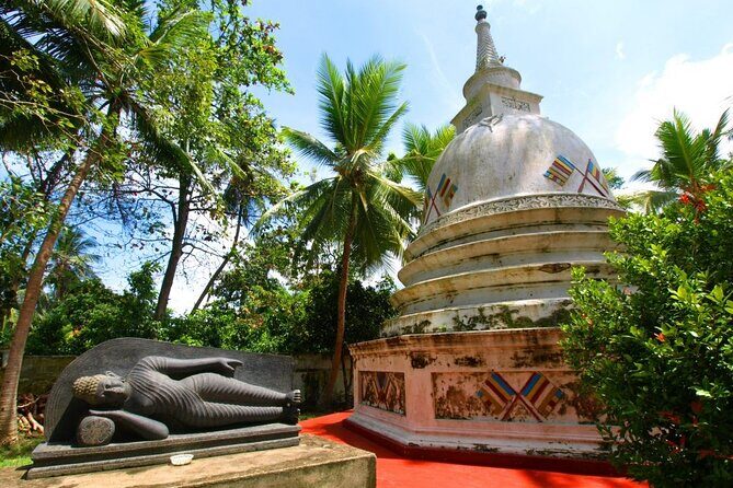 Mangroves of Madu Ganga Boat Tour (Private & All-Inclusive) - Final Thoughts