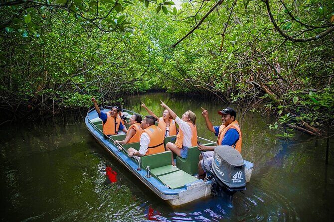 Mangroves of Madu Ganga Boat Tour (Private & All-Inclusive) - A Deep Dive into the Madu Ganga Boat Tour