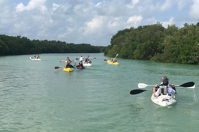 Mangroves Paddling Tour - Inclusions