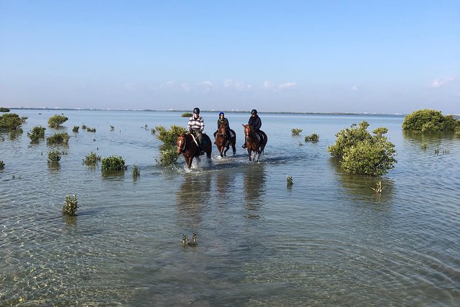Mangroves Ride - Good To Know