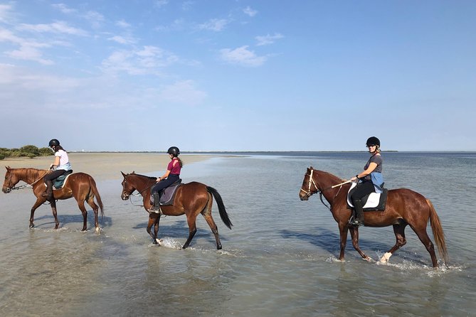 Mangroves Ride - Meeting and Pickup