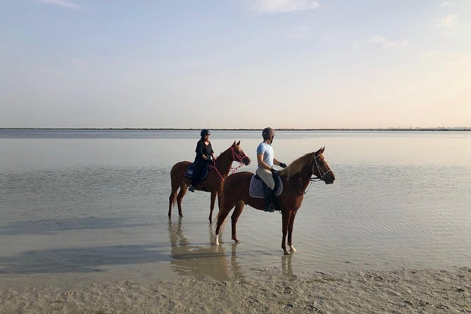 Mangroves Ride - What To Expect