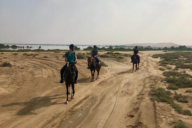 Mangroves Ride - Additional Info