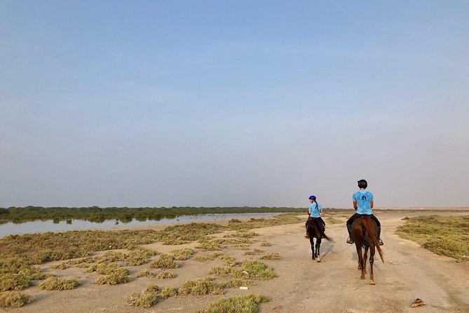 Mangroves Ride - Directions