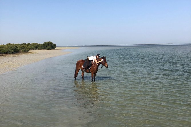 Mangroves Ride - Common Questions