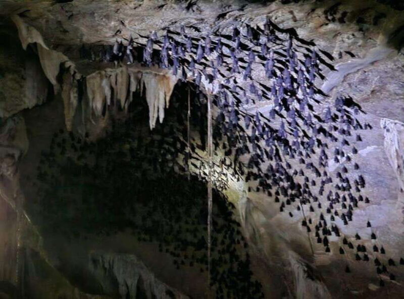 Mangrovetour Sharing Package - Lunch include in Langkawi - What to Expect from the Tour