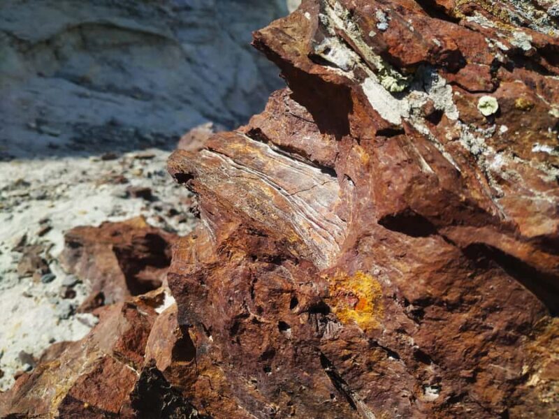 Mangystau MultiDay JeepTour With Camping & Desert Landscapes - Who Should Consider This Tour?