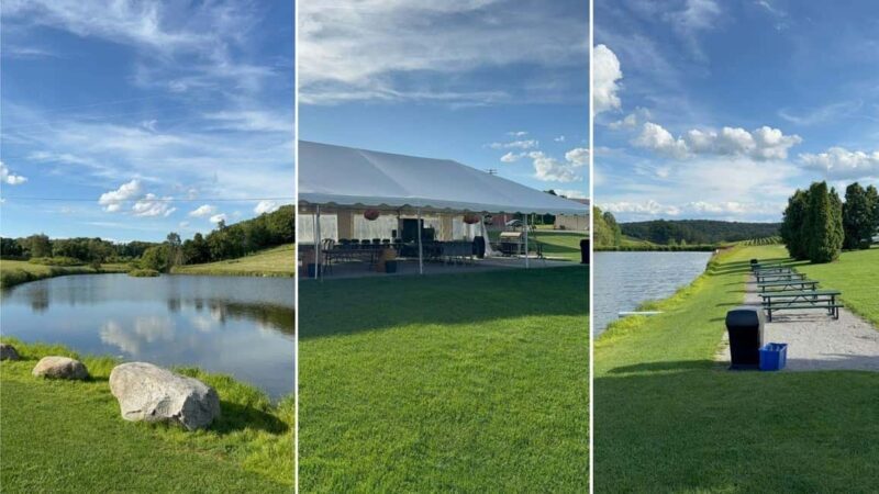 Manhattan: Millbrook Vineyards & Winery Private Tour - How This Tour Adds Value