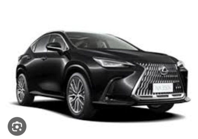 Manhattan to Jfk /Jfk to Manhattan Transfer Service - Driver and Language