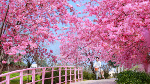 Manhua Manor - A park built around the seasons