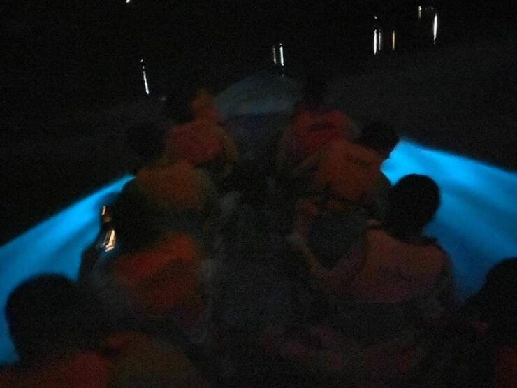 Manialtepec Bioluminescent Lagoon - Good To Know