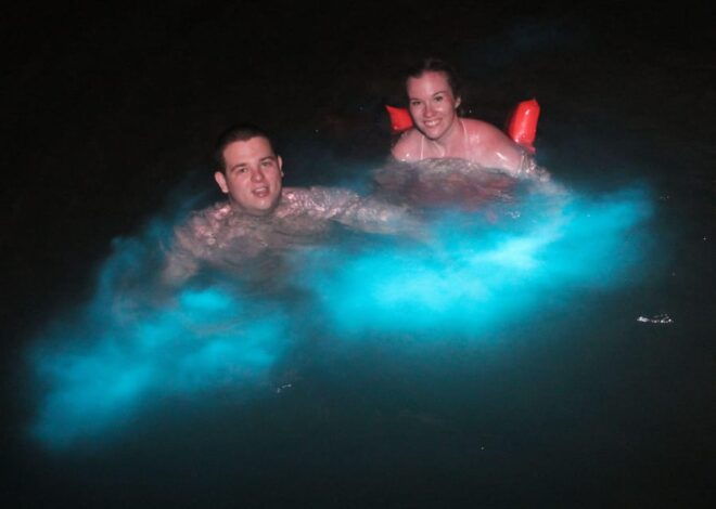 Manialtepec Bioluminescent Lagoon - Factors Affecting Bioluminescence Visibility
