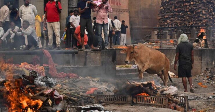 Manikarnika Ghat Tour ( Varanasi Cremation Tour) - Activity Description