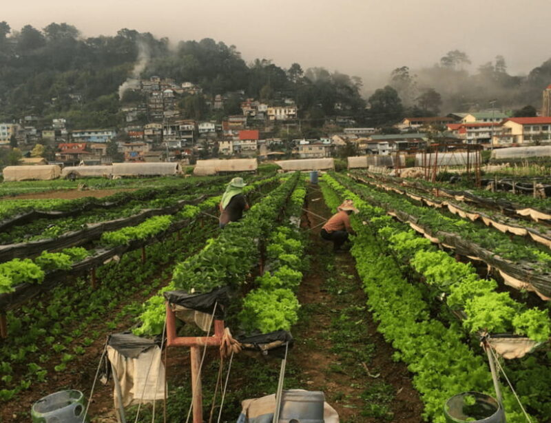 Manila: 3-Day Sagada, Baguio, & Banaue Rice Terraces Tour - Final Thoughts