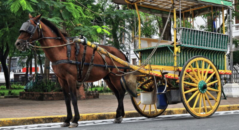 MANILA: HISTORICAL KALESA RIDE TOUR EXPERIENCE IN INTRAMUROS - Good To Know